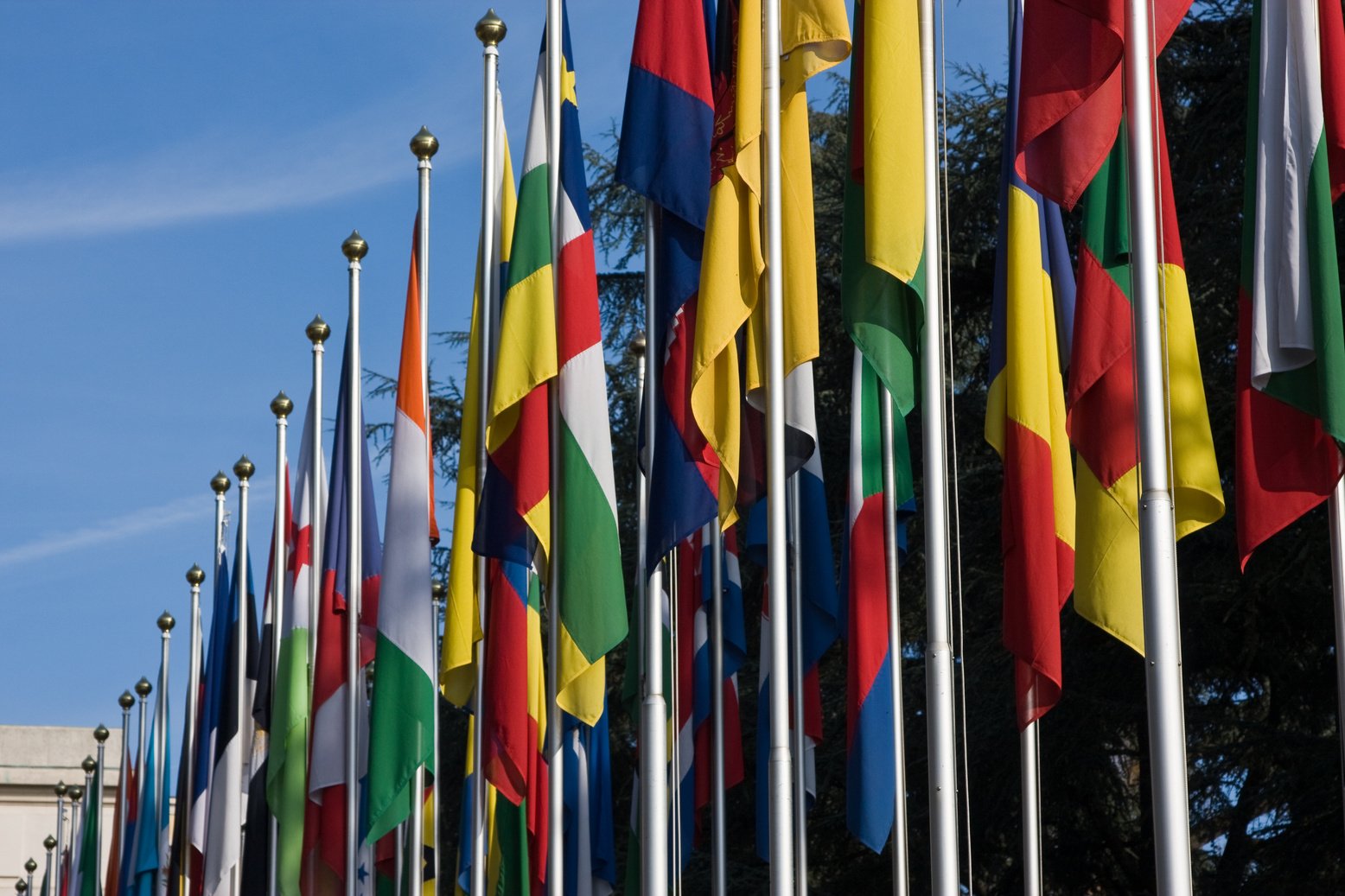 Flags on United Nations